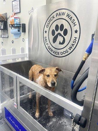 Quick Paw Wash