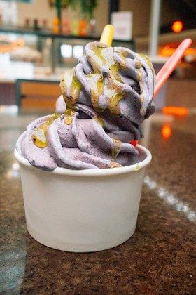 JAMUN NZ Style Ice Cream
