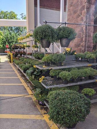 Garden Center at The Home Depot