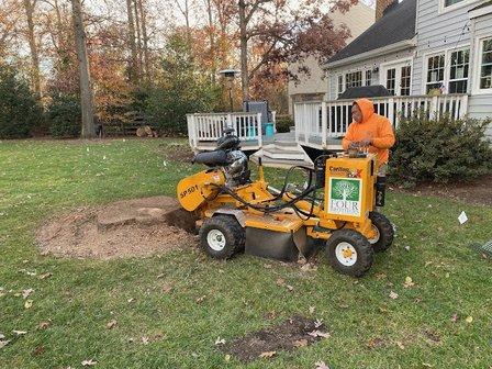 Four Brothers Tree & Landscaping