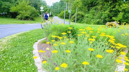 Vienna Parks and Recreation Department
