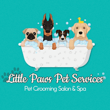 Little Paws Pet Services
