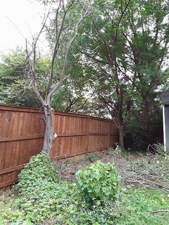 Ferris Tree & Landscaping