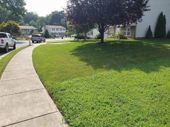 Turfscapes Lawn Care LLC