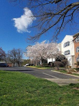 Hollybrooke Condominium