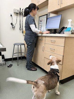 Family Veterinary Hospital of Stone Ridge