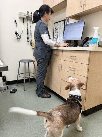 Family Veterinary Hospital of Stone Ridge