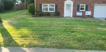 M.T.Martin Lawncare
