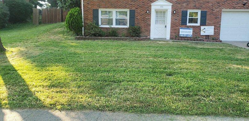 M.T.Martin Lawncare