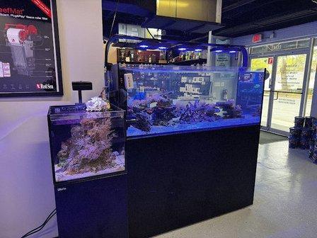 Reef eScape
