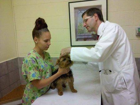 Sterling Park Animal Hospital