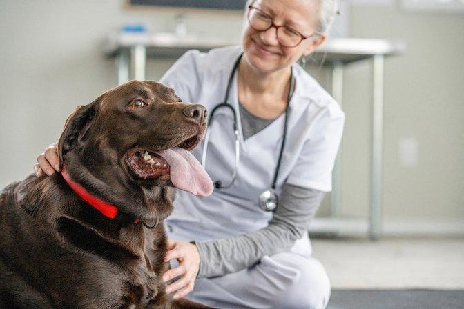 Banfield Pet Hospital