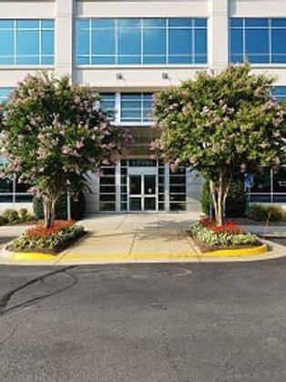 Dr. Paula Rainer, LLC