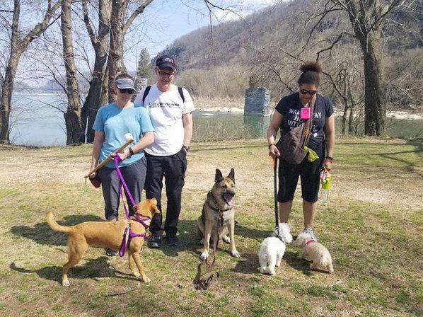 Pawsome Pups Dog Training