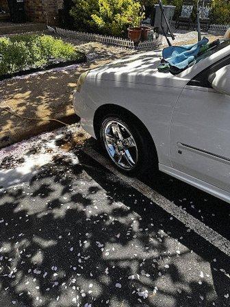 MH Mobile Car Detailing