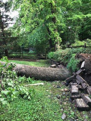AB Lawn and Tree Services Inc.