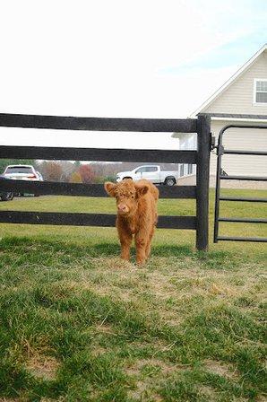 Sterling Hills Farm