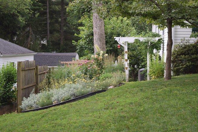 Pimmit Hills Pollinator Company