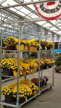 Lowe's Garden Center