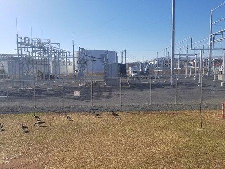 Williams Gas Pipeline Transco