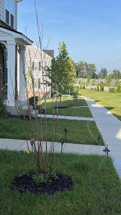 Village Landscape & Irrigation, INC