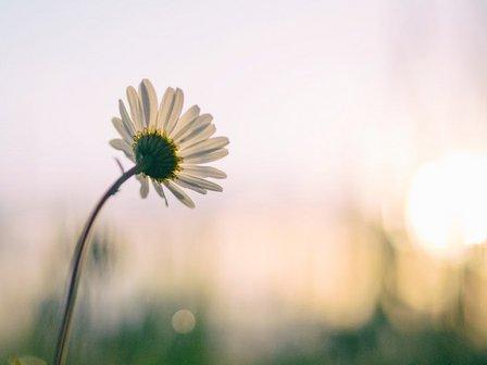 HOPE + WELLNESS