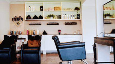 The Painted Mane Salon