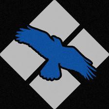 Blue Raven Executive Protection & Security Services