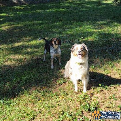 Pet Sitting 4 Comfort (PS4C) LLC