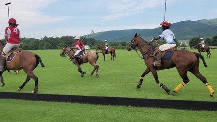 Destination Polo