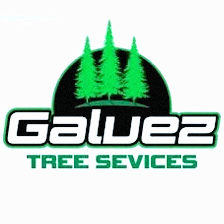 Gálvez Tree Services