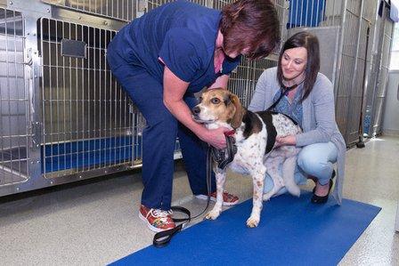 The Oncology Service - Leesburg