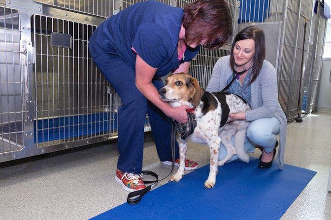 The Oncology Service - Leesburg