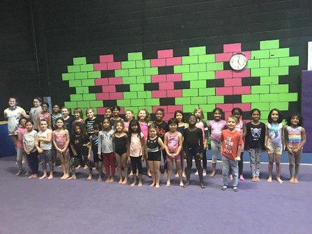 LoCo Gymnastics Club Ashburn /NVGA Gymnastics