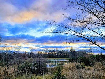 Beth Miller Park