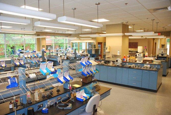 J-Dent Prosthetics, Inc.