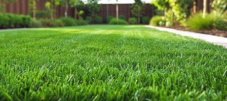 Turf Boss LLC