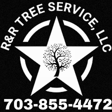 R&R Tree Service, LLC