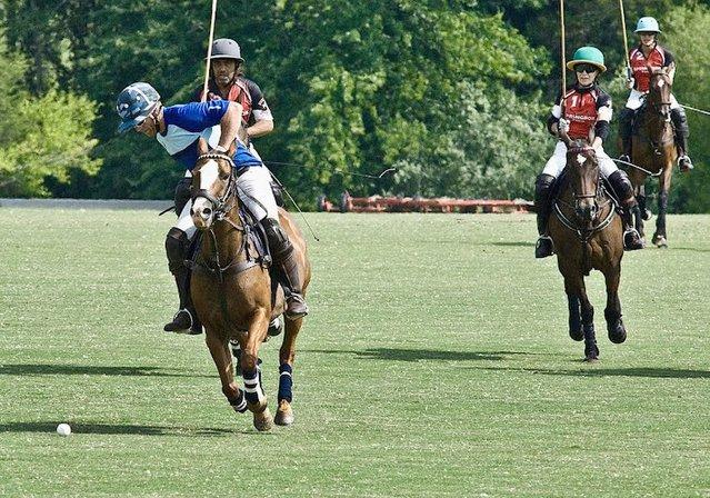 Springbok Polo Club