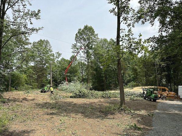 Timber Works Tree Care