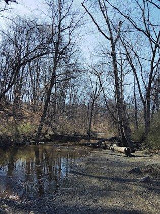 W&OD Trail Access at Tuscarora Creek Park