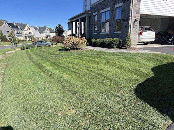 Campbell Lawn & Irrigation