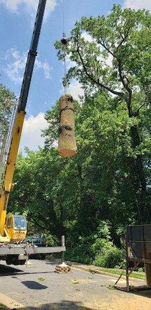 American Arborist Tree Co