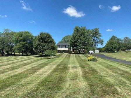 Freedom Lawn & Landscape