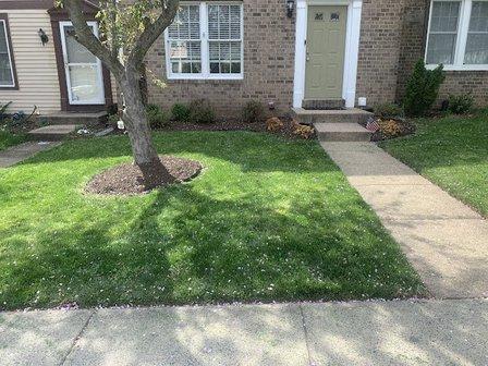 Josue Landscaping Services