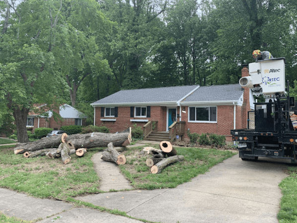 RTEC Treecare