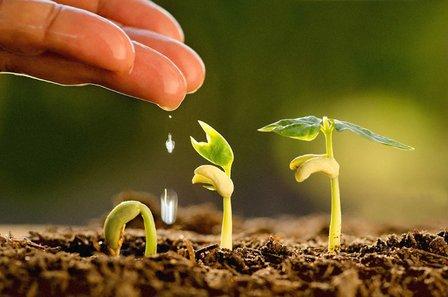 Feeding the planet