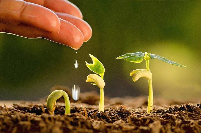Feeding the planet