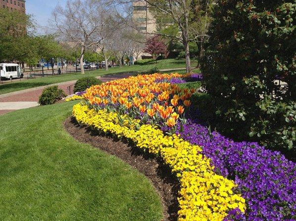 Chapel Valley Landscape Company