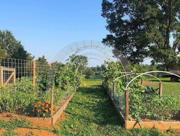 Dogpatch Farm